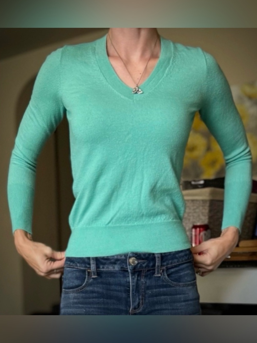 J. Crew Merino Wool V Neck Blue Teal Long Sleeve Sweater S